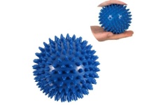 SSP 005